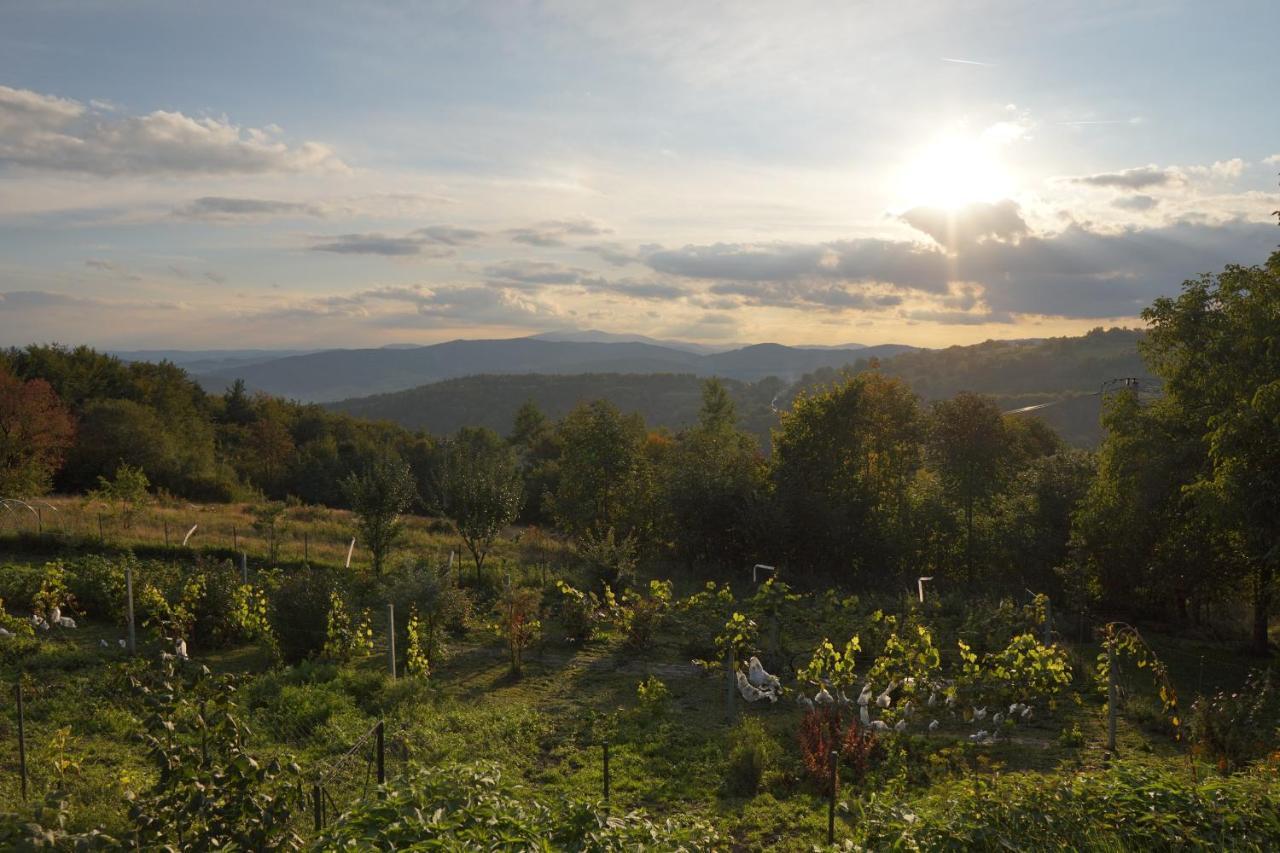 Farm stay Dom Przy Lesie Zawadka (Myslenice)