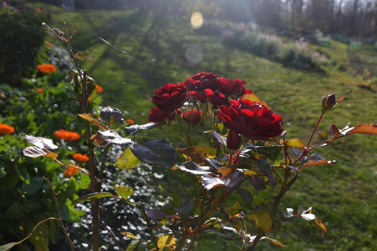 Farm stay Dom Przy Lesie Zawadka (Myslenice)