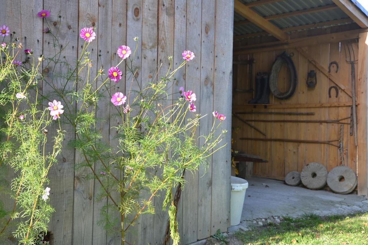 Farm stay Dom Przy Lesie